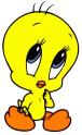 Gifs animés titi